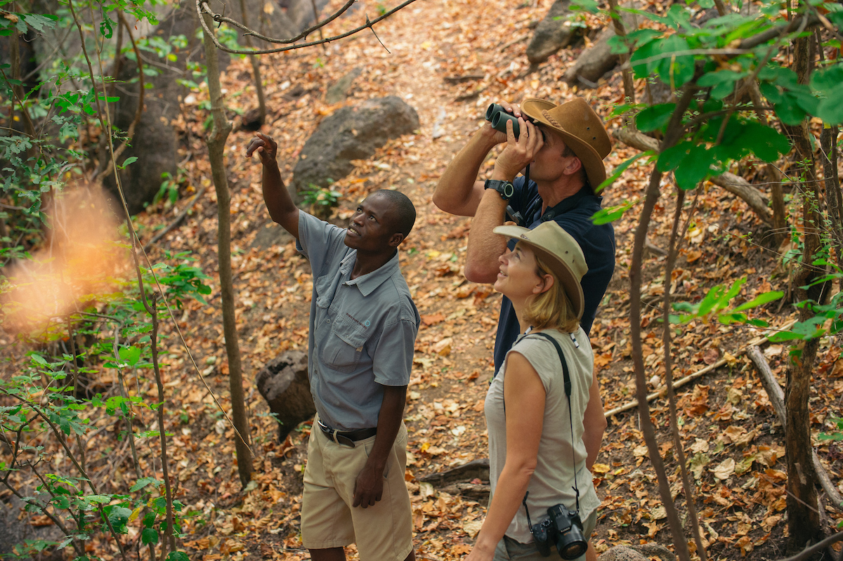 Discover the Warm Heart of Africa: Malawi Tourism Set to Shine at Global Bird Fair 2026